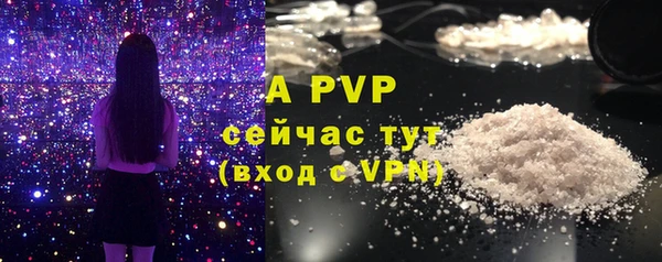 винт Балахна