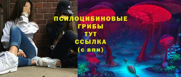 винт Балахна